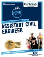 Assistant Civil Engineer