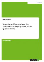 Numerische Untersuchung der Einlassrandbedingung eines Jets in Querströmung