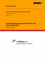 Echtzeitdatenmessung im Marketing. Ein Literaturüberblick