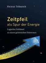 Zeitpfeil als Spur der Energie