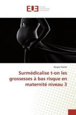 Surmédicalise t-on les grossesses ? bas risque en maternité niveau 3