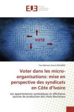 Voter dans les micro-organisations: mise en perspective des syndicats en Côte d?Ivoire