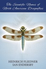 Scientific Names of North American Dragonflies