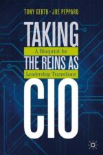 Taking the Reins as CIO