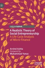 Realistic Theory of Social Entrepreneurship