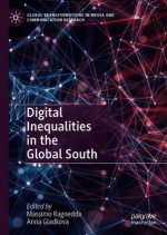 Digital Inequalities in the Global South