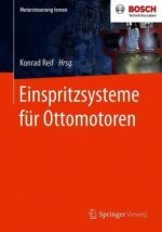 Einspritzsysteme Fur Ottomotoren