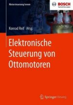 Elektronische Steuerung Von Ottomotoren