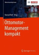 Ottomotor-Management Kompakt