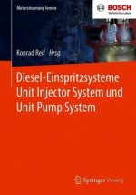 Diesel-Einspritzsysteme Unit Injector System Und Unit Pump System