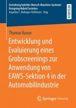 Entwicklung Und Evaluierung Eines Grobscreenings Zur Anwendung Von Eaws-Sektion 4 in Der Automobilindustrie