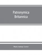 Patronymica Britannica. A dictionary of the family names of the United Kingdom
