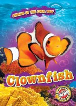 Clownfish