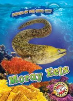 Moray Eels