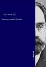 Essays on Russian novelists