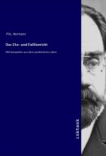 Das Ehe- und Falilienricht