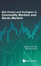 Risk Factors And Contagion In Commodity Markets And Stocks Markets