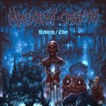Rebirth-Live
