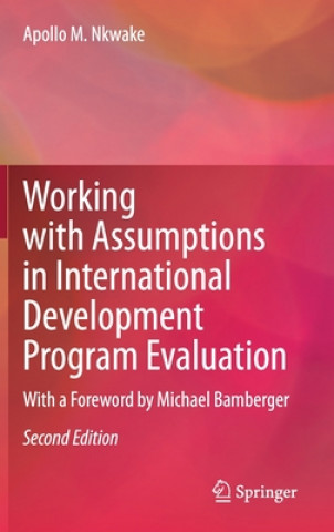 Working with Assumptions in International Development Program Evaluation