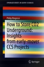 How to Store CO2 Underground: Insights from early-mover CCS Projects