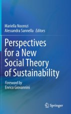 Perspectives for a New Social Theory of Sustainability