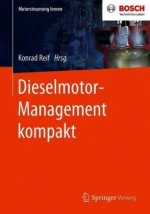 Dieselmotor-Management Kompakt