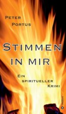 Stimmen in mir - Ein spiritueller Krimi