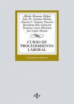 CURSO DE PROCEDIMIENTO LABORAL 2019