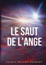 Saut de l'Ange