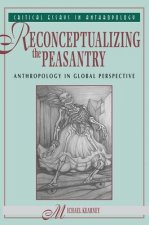 Reconceptualizing The Peasantry