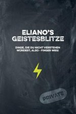 Eliano's Geistesblitze - Dinge, die du nicht verstehen würdest, also - Finger weg! Private: Cooles Notizbuch ca. A5 für alle Männer 108 Seiten mit Pun