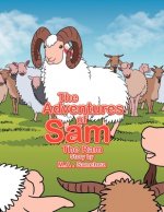 Adventures of Sam The Ram