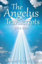 Angelus Transcripts 2013-2104