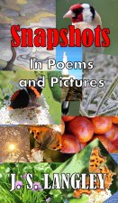 Snapshots