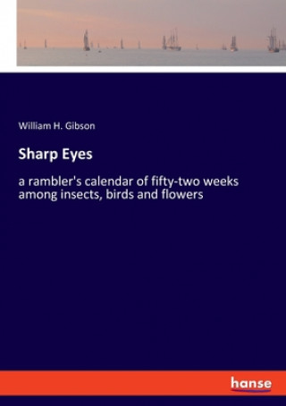 Sharp Eyes