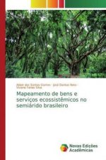 Mapeamento de bens e serviços ecossist?micos no semiárido brasileiro