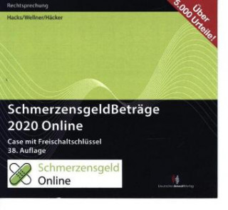 SchmerzensgeldBeträge 2020 Online