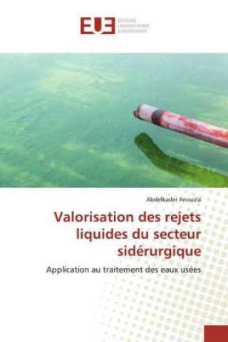 Valorisation des rejets liquides du secteur sidérurgique