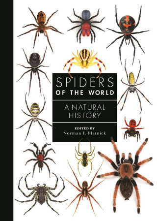 Spiders of the World - A Natural History