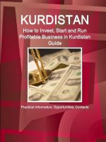 Kurdistan: How to Invest, Start and Run Profitable Business in Kurdistan Guide: Practical Information, Opportunities, Contacts