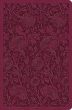 ESV Value Compact Bible