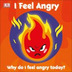 I Feel Angry: Why Do I Feel Angry Today?