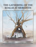 Gathering of the Koalas at Meredith