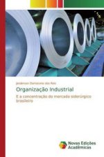 Organizaç?o Industrial
