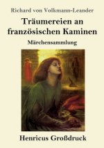 Traumereien an franzoesischen Kaminen (Grossdruck)