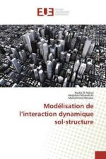Modélisation de l'interaction dynamique sol-structure