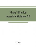 Grip's historical souvenir of Waterloo, N.Y
