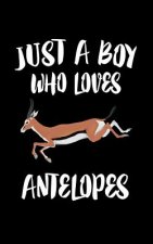 Just A Boy Who Loves Antelopes: Animal Nature Collection
