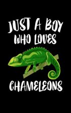 Just A Boy Who Loves Chameleons: Animal Nature Collection
