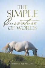 Simple Curvature of Words